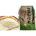【ふるさと納税】岐阜県産ハツシモ 10kg 【お米】