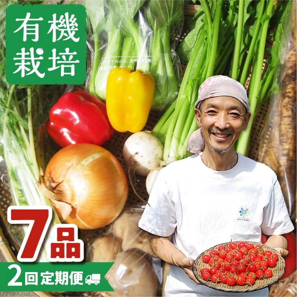 【ふるさと納税】《令和7年産 発送中》野菜の栄養価コンテストグランプリ農家が贈る 無農薬栽培 野菜セット 7品 2回お届け 定期便 お野菜のレシピ付き 野菜 米 味噌 黒豆米糀味噌 定期便 お楽しみ ありがとうファーム [Q215re] 20000円 2万円 《hida0307》 どやな飛騨市
