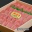 【ふるさと納税】【最高級】飛騨牛A5ランク 霜降り焼肉 1200g 下呂温泉 おすすめ 牛肉 ブランド牛 肉ギフト 国産 贈答品 焼肉用 焼肉 バーベキュー ギフト 霜降り 飛騨牛 70,000円