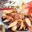 【ふるさと納税】名古屋コ-チン 鶏ちゃんセット(海津) 【お肉・鶏肉】
