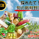 【ふるさと納税】採れたて!旬の新鮮野菜 詰め合わせ 【野菜・...