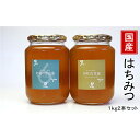 【ふるさと納税】国産はちみつ1kg 2本セット 【蜂蜜・はち...