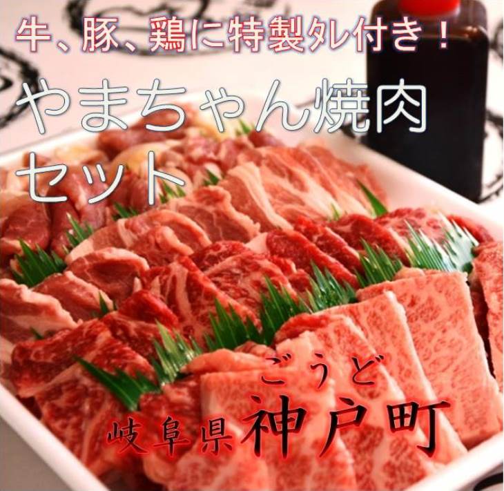 【ふるさと納税】やまちゃん焼肉セット