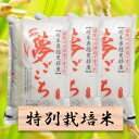 【ふるさと納税】特別栽培米 夢ごこち 精米30kg(分搗き可...