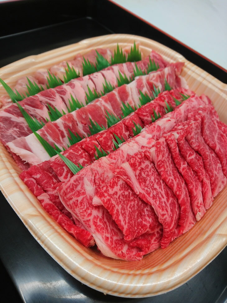 【楽天ふるさと納税】A5等級飛騨牛入り焼肉セット　1kg※年明け順次の発送となります