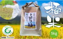 【ふるさと納税】岐阜鰻たむろが送るコシヒカリ“極米”5Kg