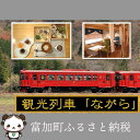 【ふるさと納税】観光列車「ながら」ランチプラン乗車券(ペア)
