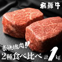 【ふるさと納税】飛騨牛 ブロック [塊] 霜降り肉 赤身肉 500g×2 合計1kg 牛肉 和牛 ブ