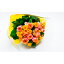 【ふるさと納税】バラの花束　ミックス20本【配送不可：離島】　【植物】
ITEMPRICE