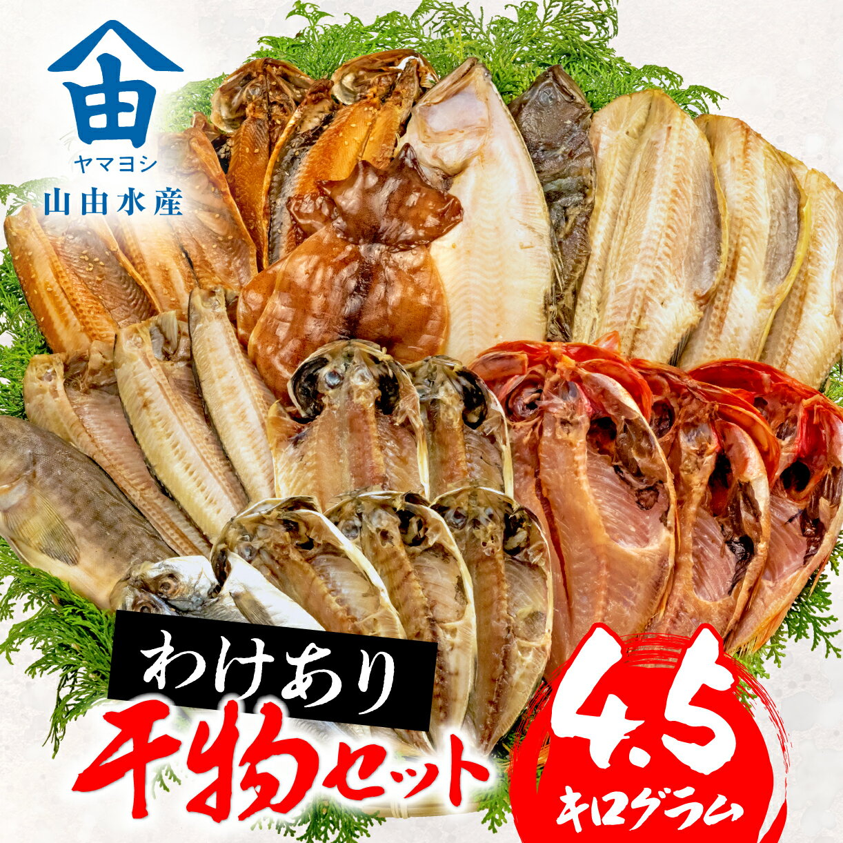 【ふるさと納税】 訳あり 干物 4.5kg 詰め合わせ セット ホッケ 金目鯛 アジ サバ カレイ 赤魚 醤油干し フィレ 冷凍 ひもの 規格外 不揃い 沼津