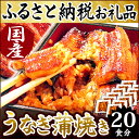 【ふるさと納税】楽天ランキング1位★静岡県 うなぎのたなか うなぎ蒲焼20食 国産うなぎ蒲焼き