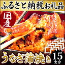 【ふるさと納税】楽天ランキング1位★静岡県 うなぎ