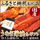 【ふるさと納税】楽天ランキング1位★静岡県 うなぎ