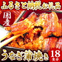 【ふるさと納税】楽天ランキング1位★静岡県 うなぎのたなか ...