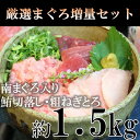 【ふるさと納税】c10-043 限定!マルコ水産・厳選まぐろ...