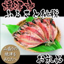 【ふるさと納税】001-193 鯵好きにはたまらない!「国産...
