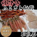 ¡Ú¤Õ¤ë¤µ¤ÈǼÀÇ¡Û002-085 À¸À¸Æ±»Ö