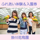 【ふるさと納税】掛川花鳥園 ふれあい体験&入園券