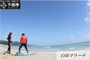 【ふるさと納税】サーフィンスクール<1レッスン利用券> サーフィン 教室 スクール レッスン スポーツ 海 伊豆 送料無料