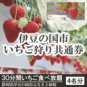 【ふるさと納税】020-002 伊豆の国市いちご狩り共通券(...