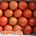 【ふるさと納税】野菜 トマト 静岡 桃太郎 伊豆の国産 大玉トマト(4kg)【先行予約】010-034