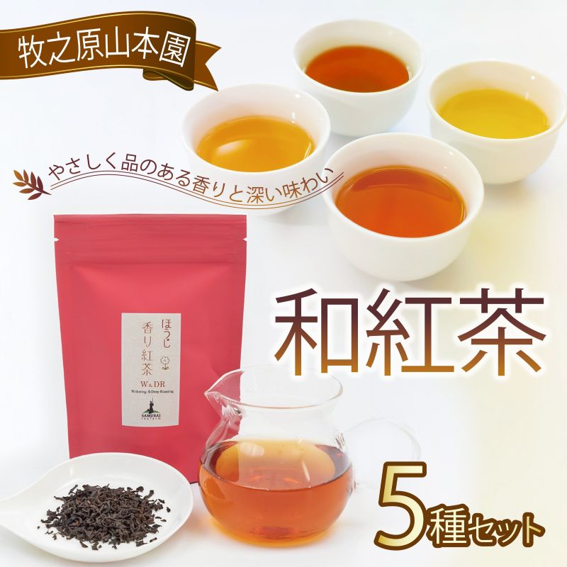 【ふるさと納税】 【受賞歴多数】 和紅茶セレクトプレミアムおすすめ5種セット 和紅茶 飲み比べ セット ほうじ香り紅茶 棒焙煎紅茶 紅茶 お茶 茶 茶葉 べにふうき 国産紅茶 国産 贈答 プレゼント ギフト お土産 牧之原茶 静岡茶 牧之原山本園 静岡県 牧之原市