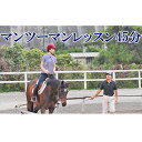 【ふるさと納税】天城ホースビレッジ 施設利用券 マンツーマンレッスン45分 【体験チケット】