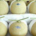 【ふるさと納税】クラウン印マスクメロン(山)6玉 【果物類・...