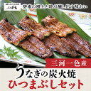 【ふるさと納税】創業大正九年 日本料理小伴天 三河一色産うなぎの炭火焼 ひつまぶしセット