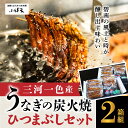 【ふるさと納税】創業大正九年 日本料理小伴天 三河一色産うなぎの炭火焼 ひつまぶしセット 2箱組