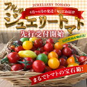 【ふるさと納税】4月〜6月の発送 『旬』にお届け まるでトマ...