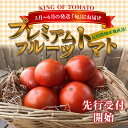 【ふるさと納税】3月〜6月の発送 『旬』にお届け プレミアム...