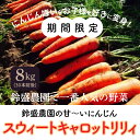 【ふるさと納税】≪期...