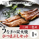 【ふるさと納税】創業大正九年 日本料理 小伴天 三河一色産炭火焼うなぎ 1尾 ひつまぶしセット