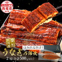 【ふるさと納税】A116 【数量限定】三河産うなぎ「超おばけサイズ蒲焼き2尾」(合計500g以上)【冷凍便】国産 三河産 愛知県産 鰻 ウナギ タレ付き たれセット さんしょう 特大以上 MB