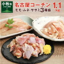 【ふるさと納税】名古屋コーチン 3種盛 1.1kg 大満足セット もも肉 むね肉