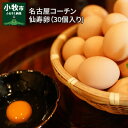 【ふるさと納税】名古屋コーチン卵(30個入り)