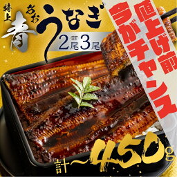 【<strong>ふるさと納税</strong>】《5月末金額改定》 幻の青うなぎ 蒲焼 父の日 丑の日 2週間以内発送 発送時期が選べる 2尾 3尾 300g ~ 450g 厳選 青鰻 鰻 蒲焼き 最高級 長蒲焼 特大サイズ 土用丑の日 先行予約 うなぎ 冷凍 丑の日 惣菜 unagi ランキング 1位 送料無料 10000円 1万円