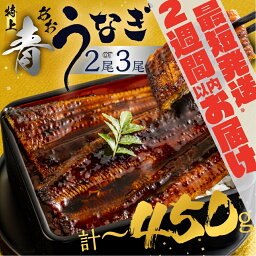 【<strong>ふるさと納税</strong>】幻の青うなぎ 蒲焼 2尾 3尾 父の日 丑の日 発送時期が選べる 300g ~ 450g 厳選 青鰻 ウナギ 鰻 蒲焼き 最高級 長蒲焼 特大サイズ 土用丑の日 先行予約 金 うなぎ ひつまぶし 冷凍 丑の日 惣菜 unagi ランキング 1位 送料無料 10000円 15000円 1万円