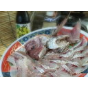 【ふるさと納税】鯛しゃぶセット【波】【1029180】