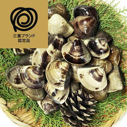 マルヨシ水産　桑名産中粒天然蛤　1.3kg