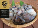 【ふるさと納税】 丸元水産 桑名産蛤(ハマグリ)1.4kg
