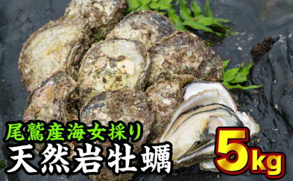 海女採り 尾鷲産天然岩牡蠣（いわがき）　大容量5kgセット（カキ平均サイズ約400g）　MK-1