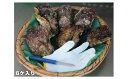【ふるさと納税】【冷蔵】岩ガキ 6ケ入 約2kg~約2.5kg/貝 牡蠣 かき カキ 天然 養殖 BBQ 伊勢志摩産