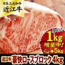 【ふるさと納税】【期間限定10/31まで】【総本家肉のあさの】近江牛豪快ロースブロック AE999_a