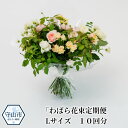 【ふるさと納税】わばら花束定期便 Lサイズ 10回分【滋賀県守山市】