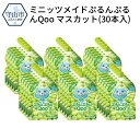 【ふるさと納税】ミニッツメイドぷるんぷるんQoo マスカット...