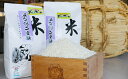 【ふるさと納税】令和元年産豊かな郷の高級もち米3kg 【餅・...