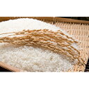【ふるさと納税】令和2年産甲良米「キヌヒカリ」(白米)15kg 2月連続 【定期便・お米】 お届け:2020年10月中旬~