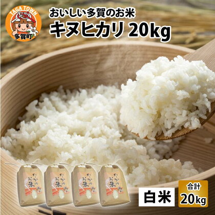 キヌヒカリ20kg（5kg × 4袋） / おいしい多賀のお米 / 令和3年産米 [C-00401]